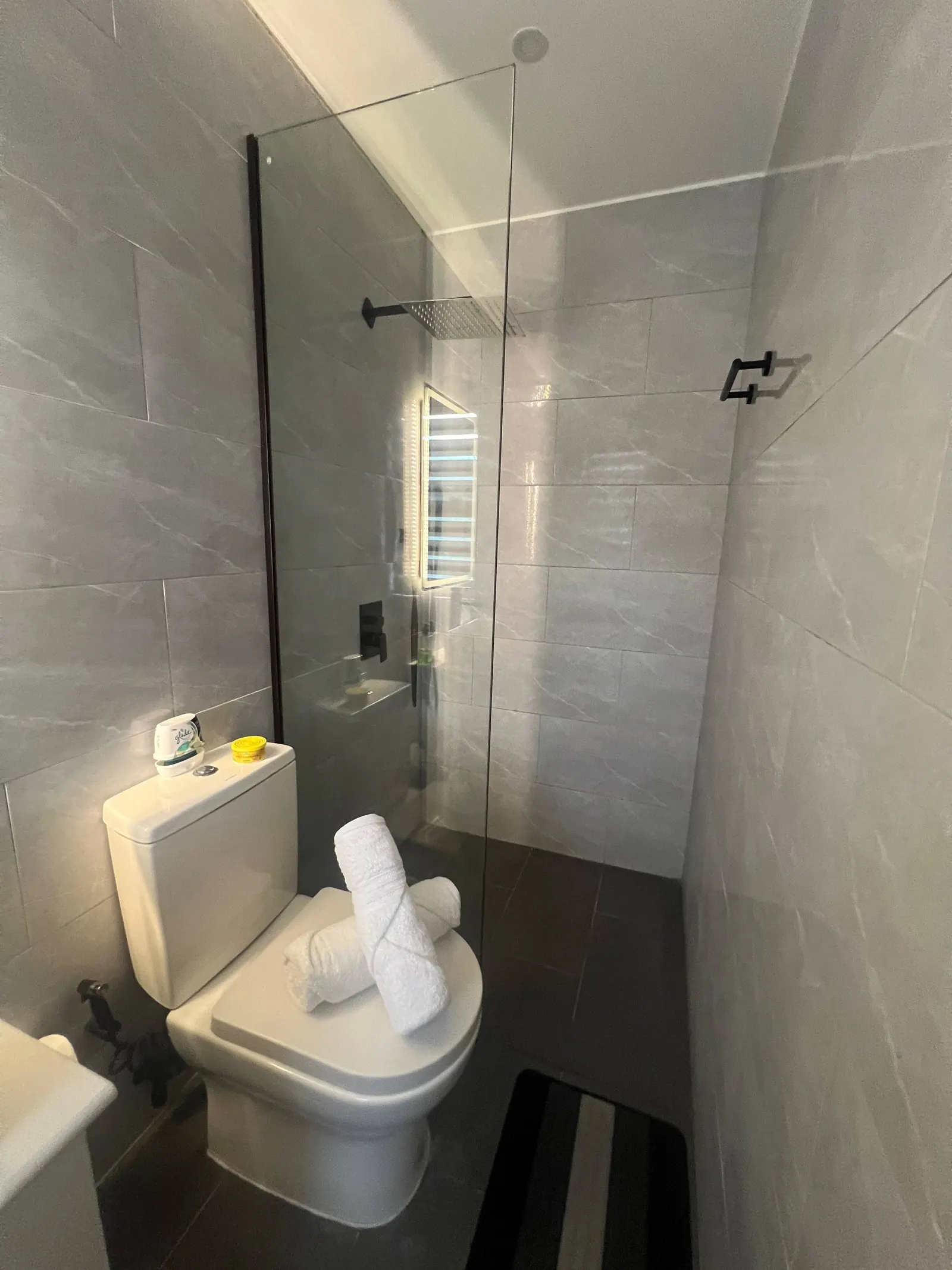 En-suite shower enclosure and toilet with towels