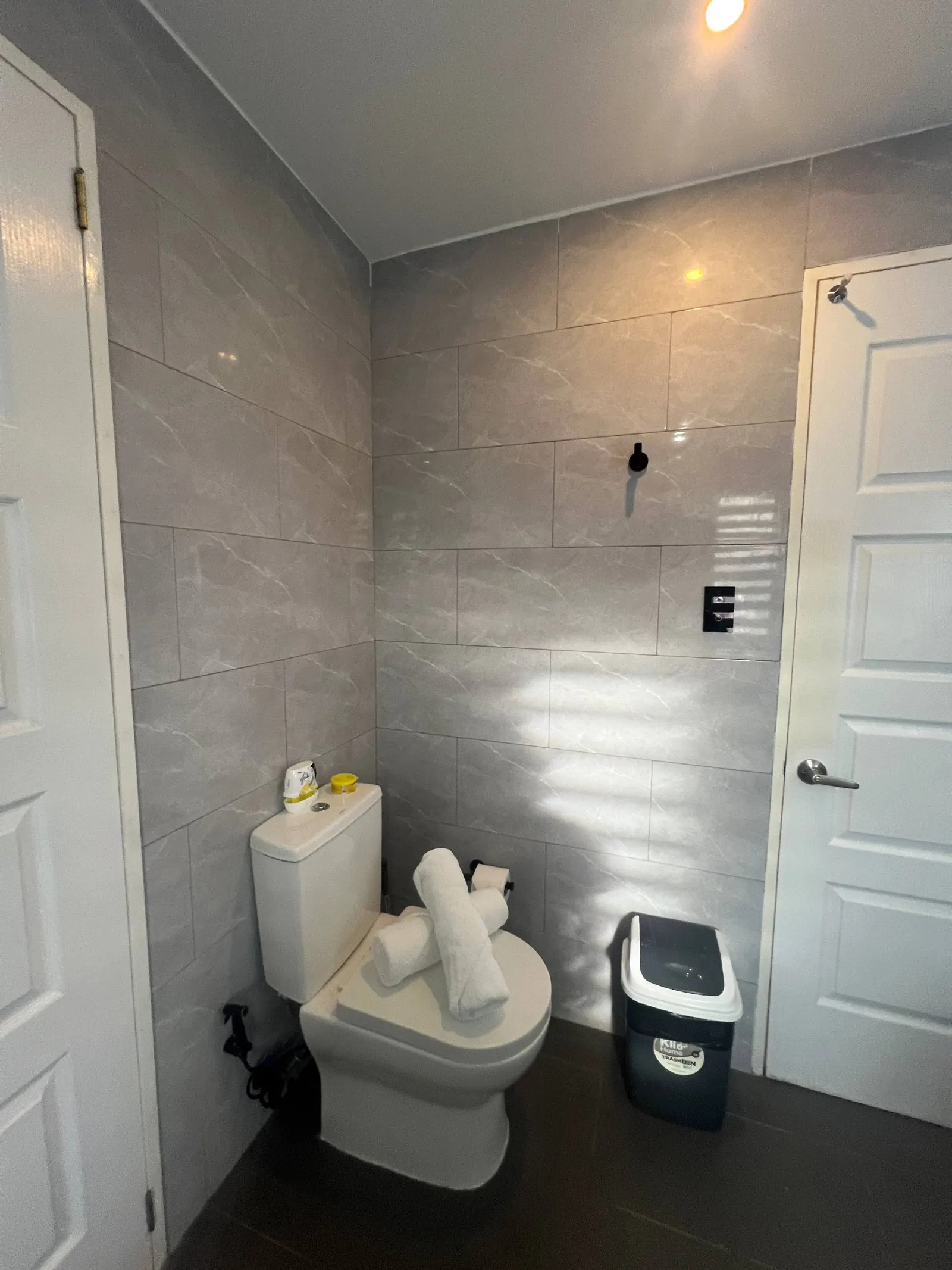 En-suite toilet with towels and bidet sprayer