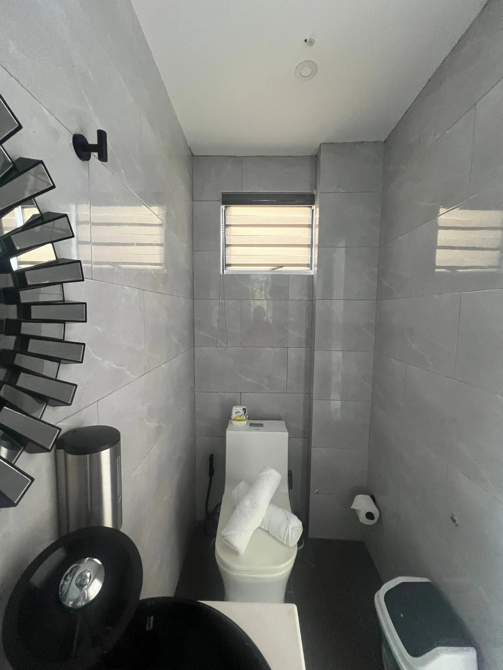 En-suite toilet area with towels, window and trash bin