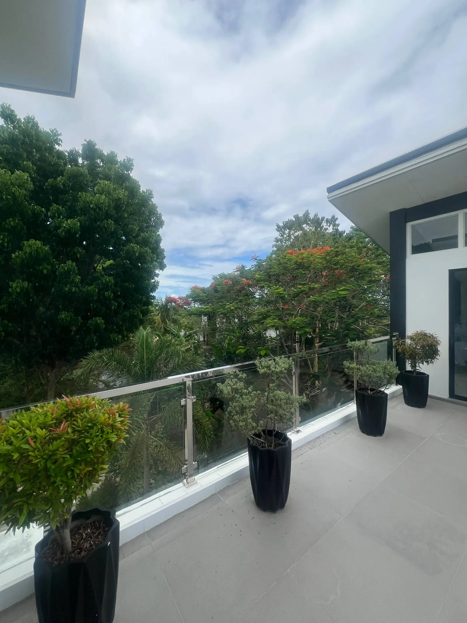 Outdoor living balcony with tropical tree views