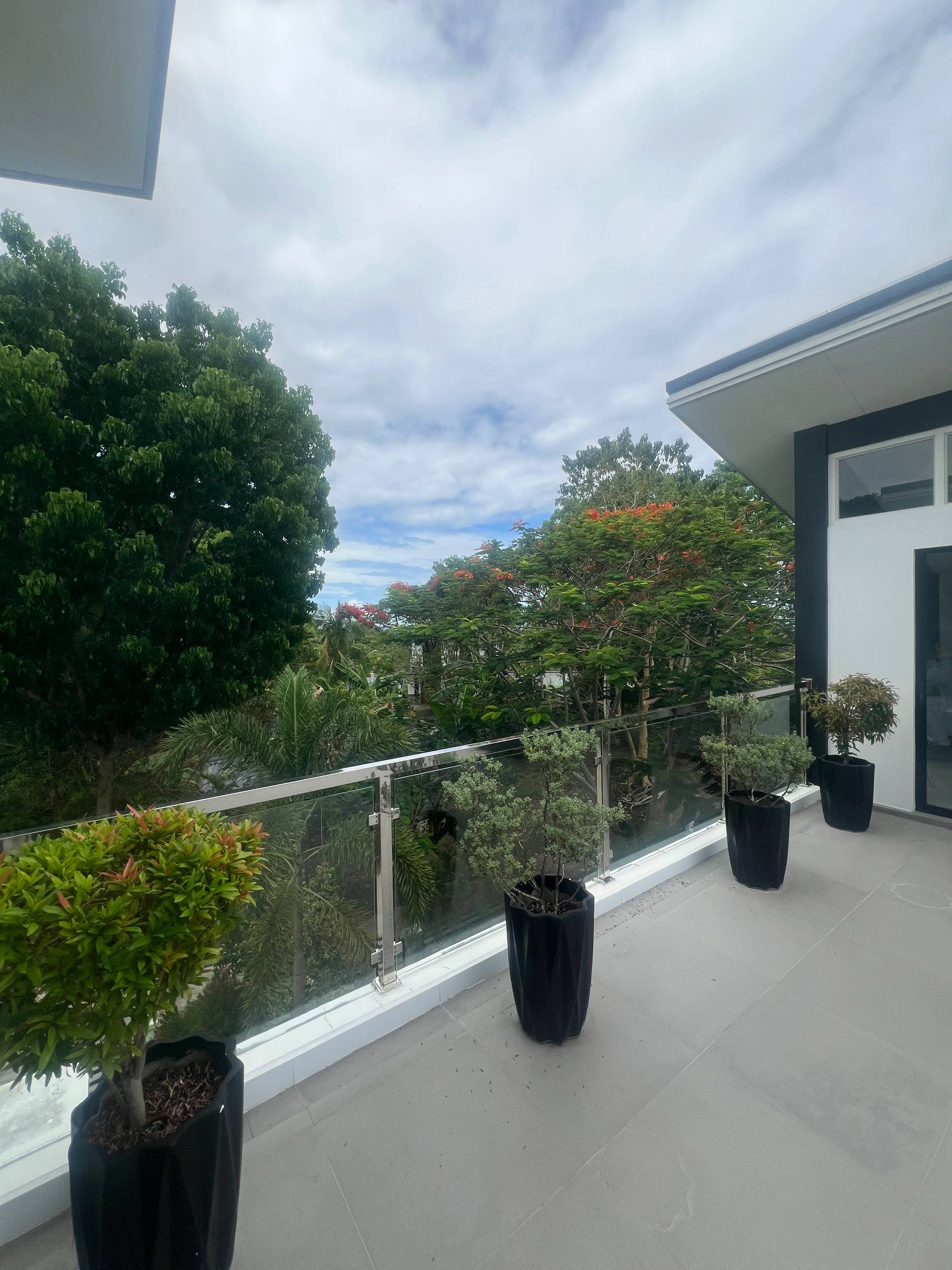 Outdoor living balcony with tropical tree views
