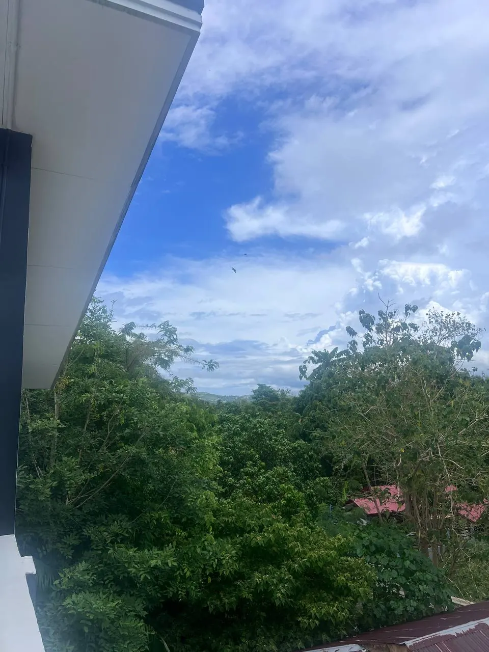 Elevated rooftop view over tropical greenery and distant Bohol hills